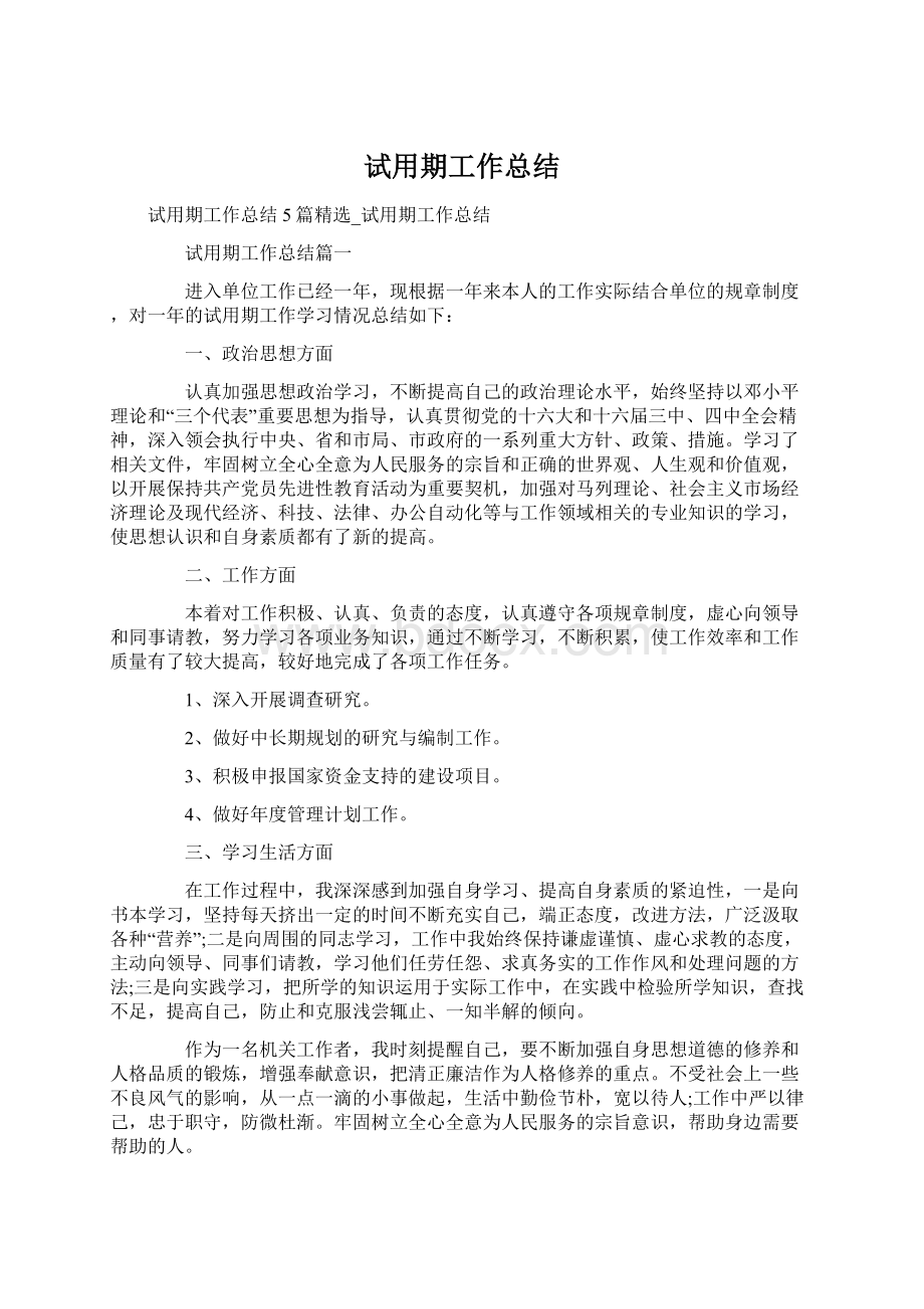 试用期工作总结文档格式.docx