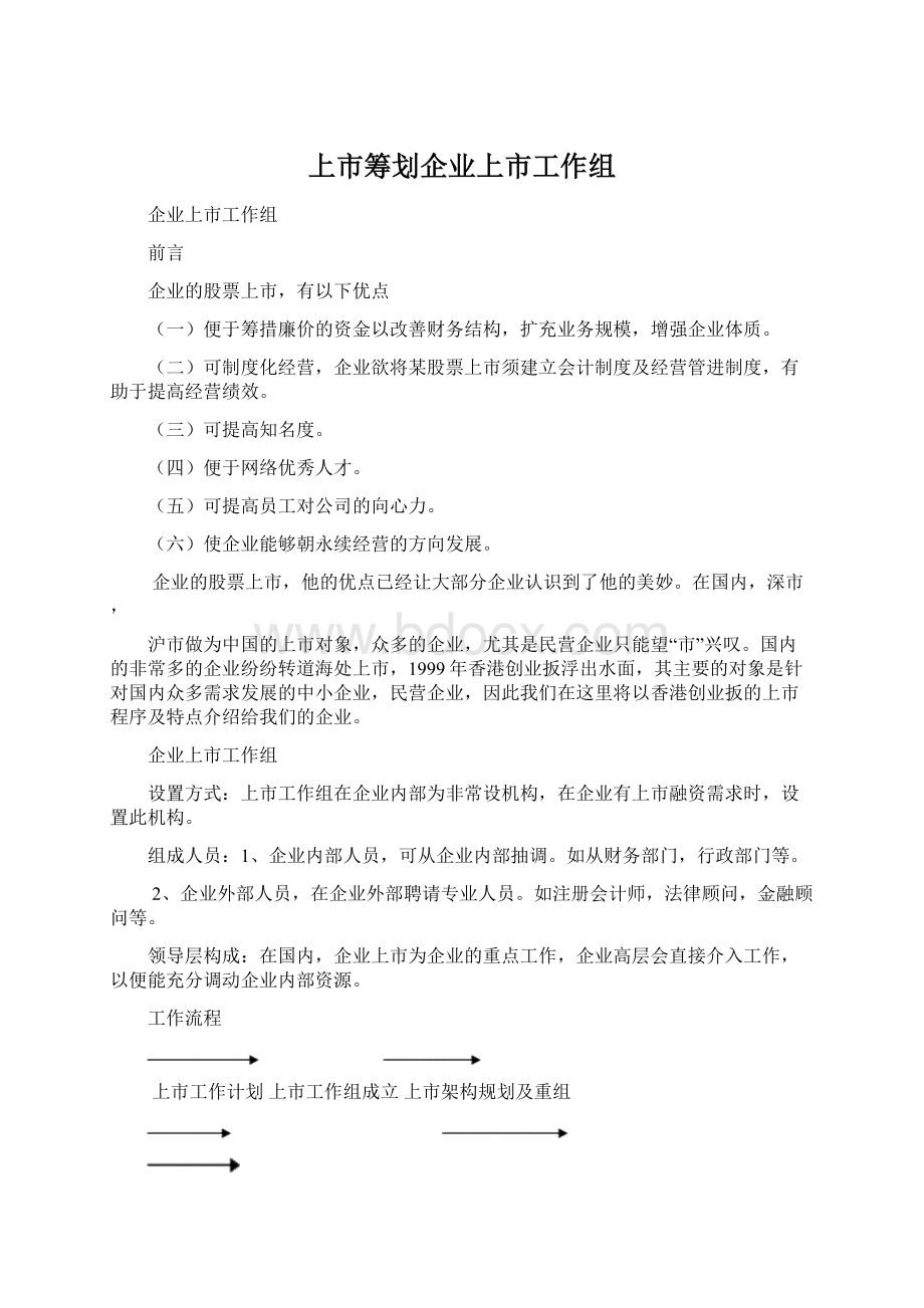 上市筹划企业上市工作组文档格式.docx_第1页