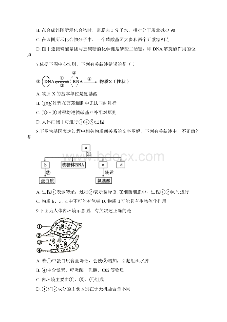 届安徽省滁州市定远县育才学校高三上学期第三次月考生物试题.docx_第3页