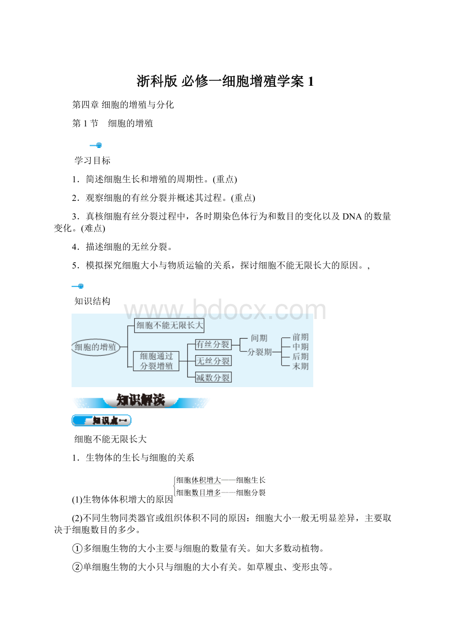 浙科版 必修一细胞增殖学案 1Word文档格式.docx_第1页