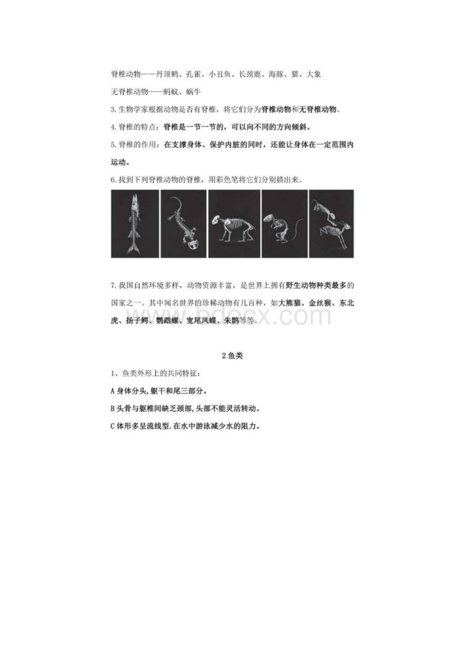 苏教版四年级科学上册知识点归纳.docx_第2页