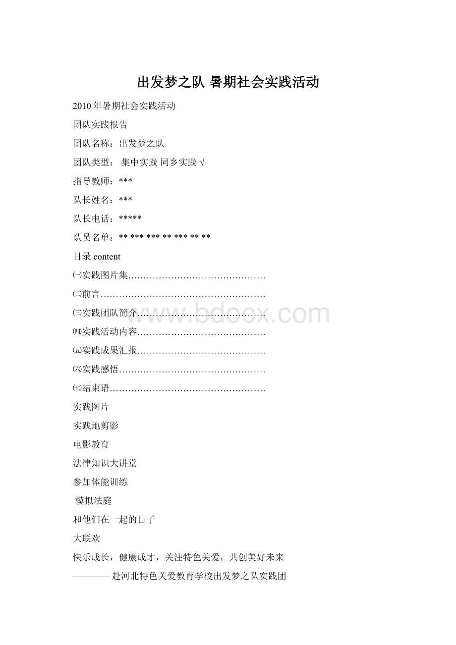 出发梦之队 暑期社会实践活动文档格式.docx_第1页