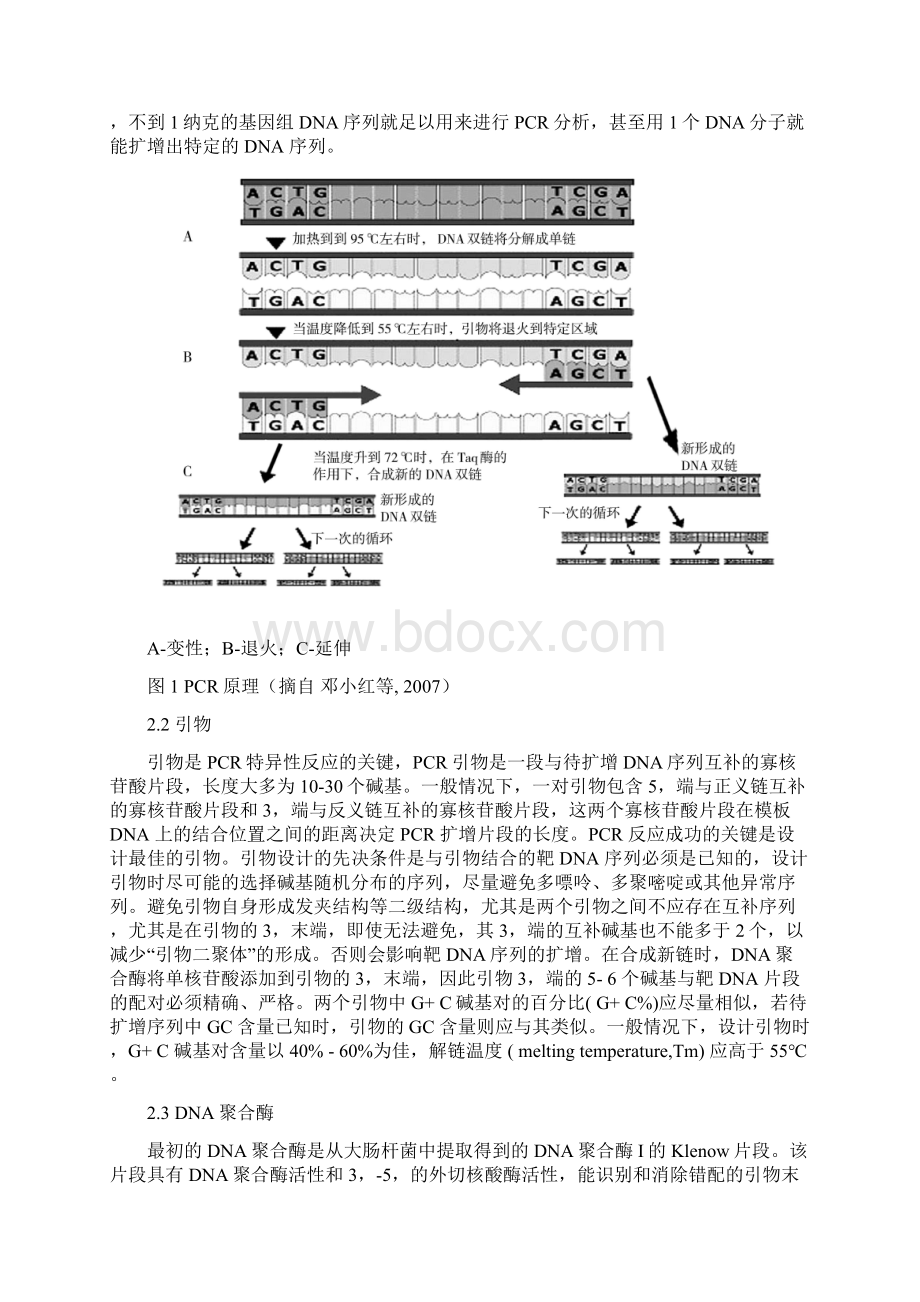 PCR技术的种类及应用Word下载.docx_第2页