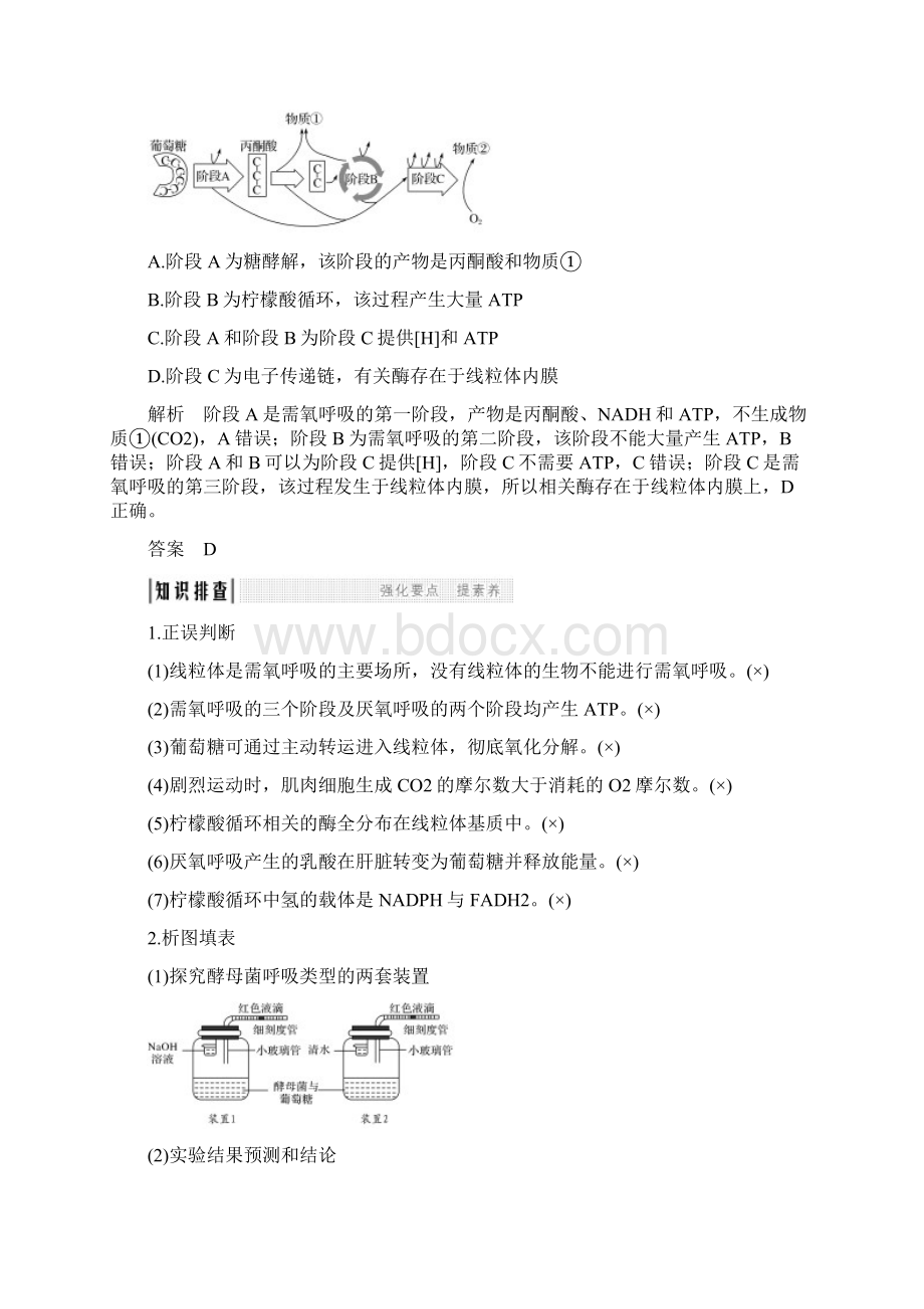 精品版高考生物总复习非选择题必考专题一 细胞的代谢 第3讲 细胞呼吸学案.docx_第3页