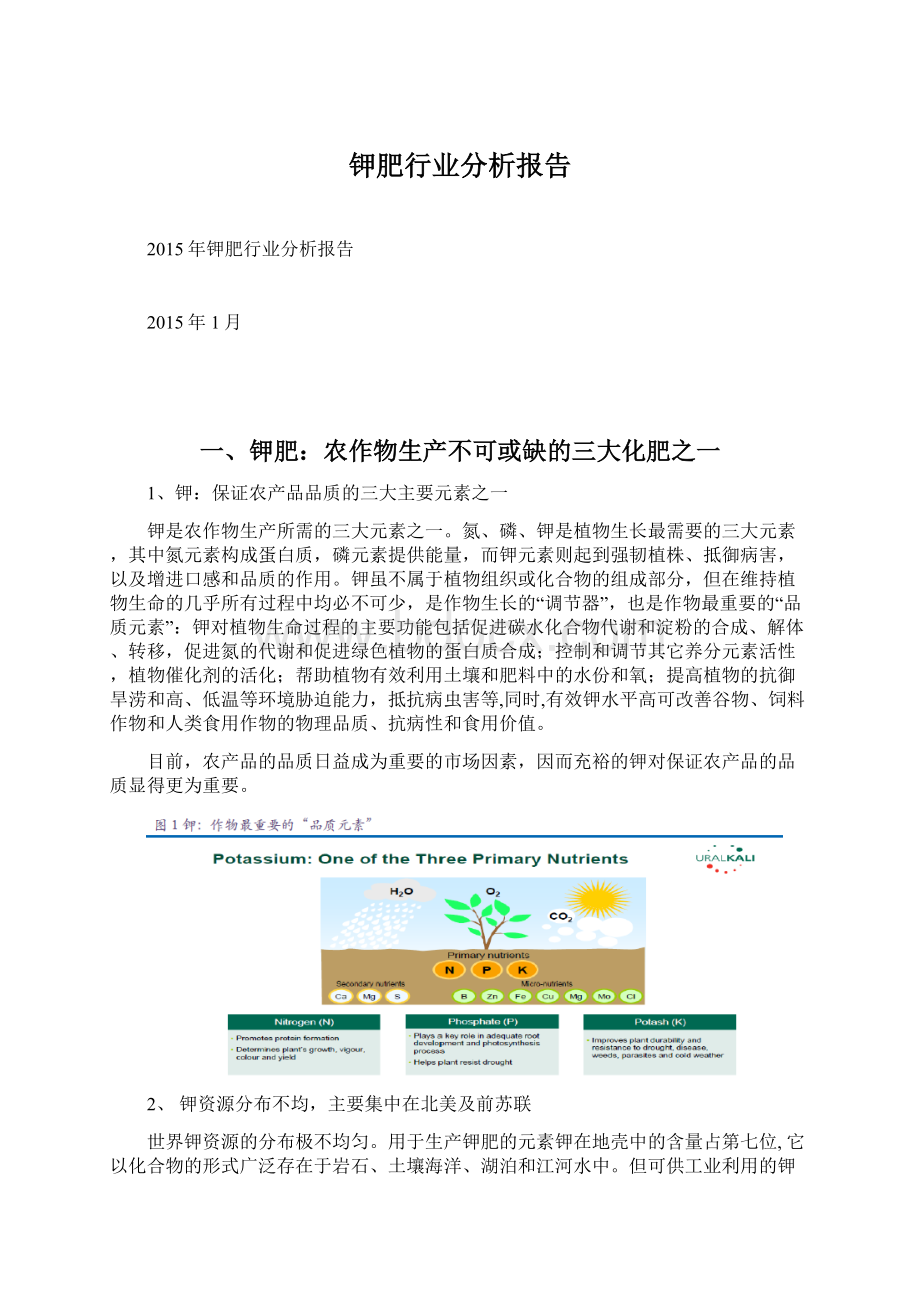 钾肥行业分析报告.docx