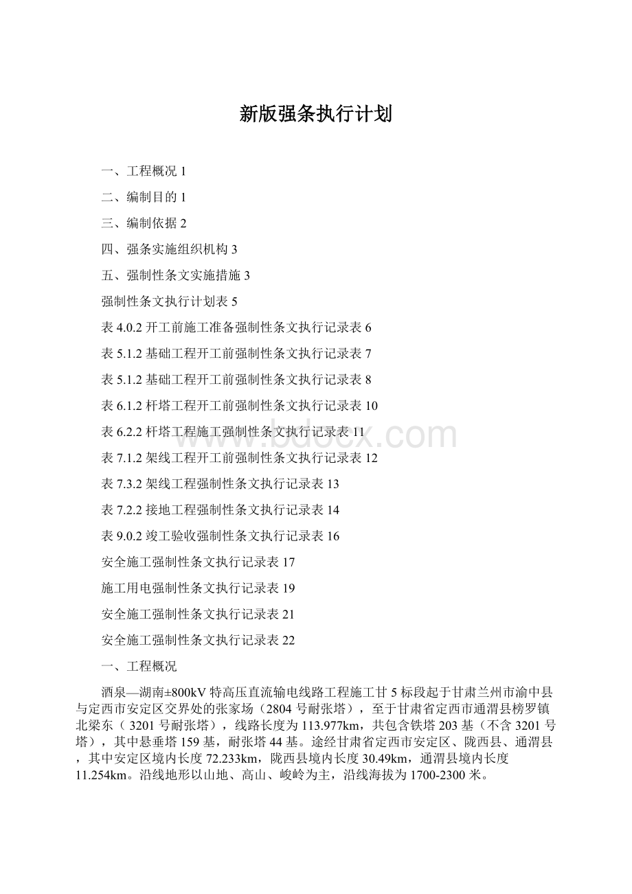 新版强条执行计划.docx