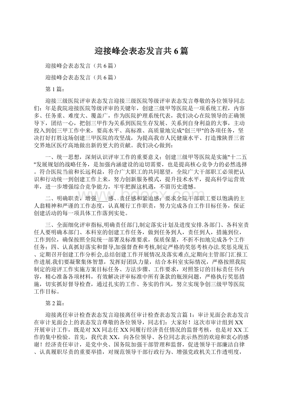 迎接峰会表态发言共6篇.docx