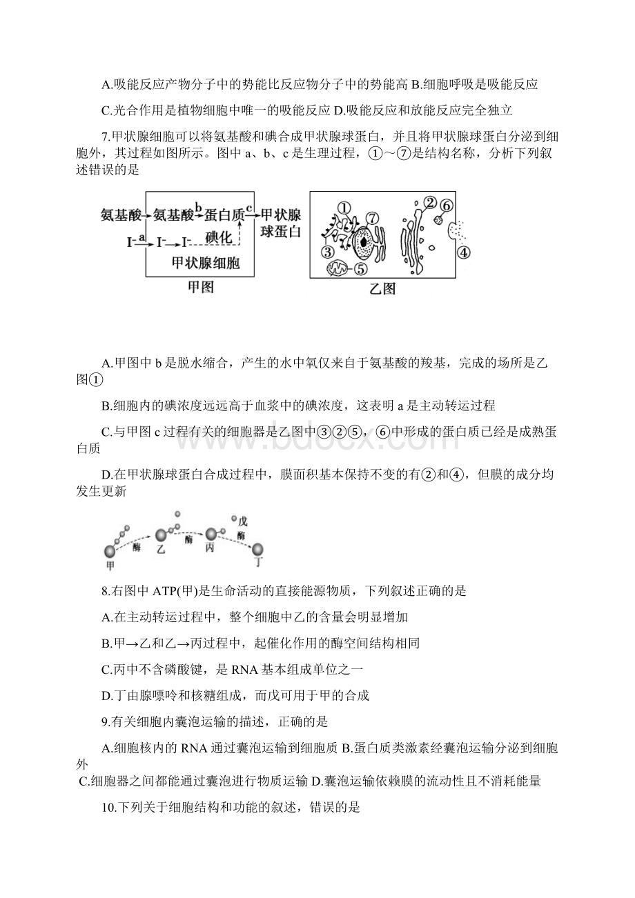 浙江省富阳市第二中学学年高一生物下学期分班考试试题Word文件下载.docx_第2页