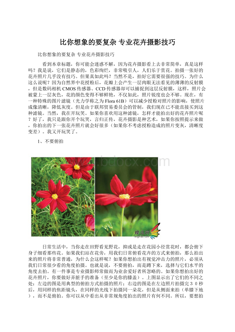 比你想象的要复杂 专业花卉摄影技巧Word格式.docx