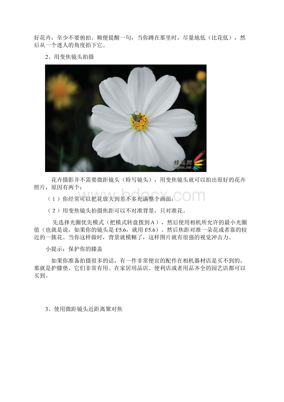 比你想象的要复杂 专业花卉摄影技巧.docx_第2页