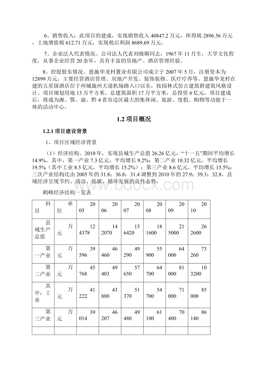 鹤峰华龙医院建设项目申请报告Word格式文档下载.docx_第2页