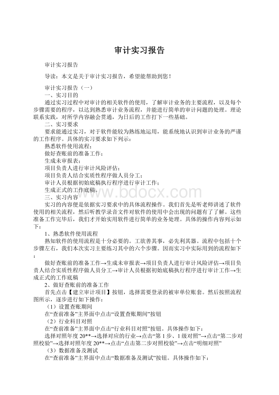 审计实习报告.docx