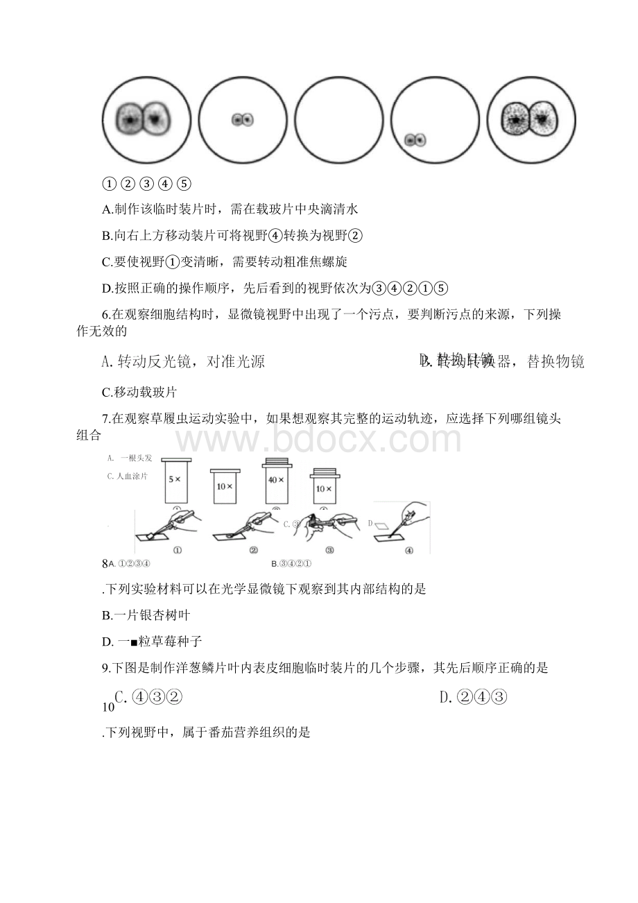 北京朝阳区学年初一上学期期末生物试题word版含答案Word文档格式.docx_第2页