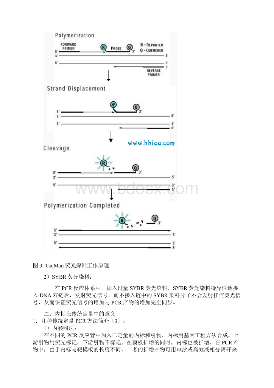 Realtime PCRWord文档格式.docx_第3页