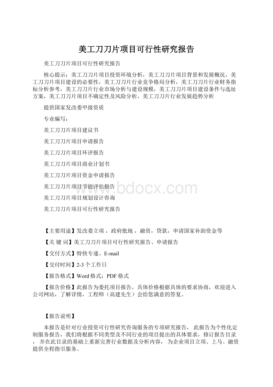 美工刀刀片项目可行性研究报告Word下载.docx