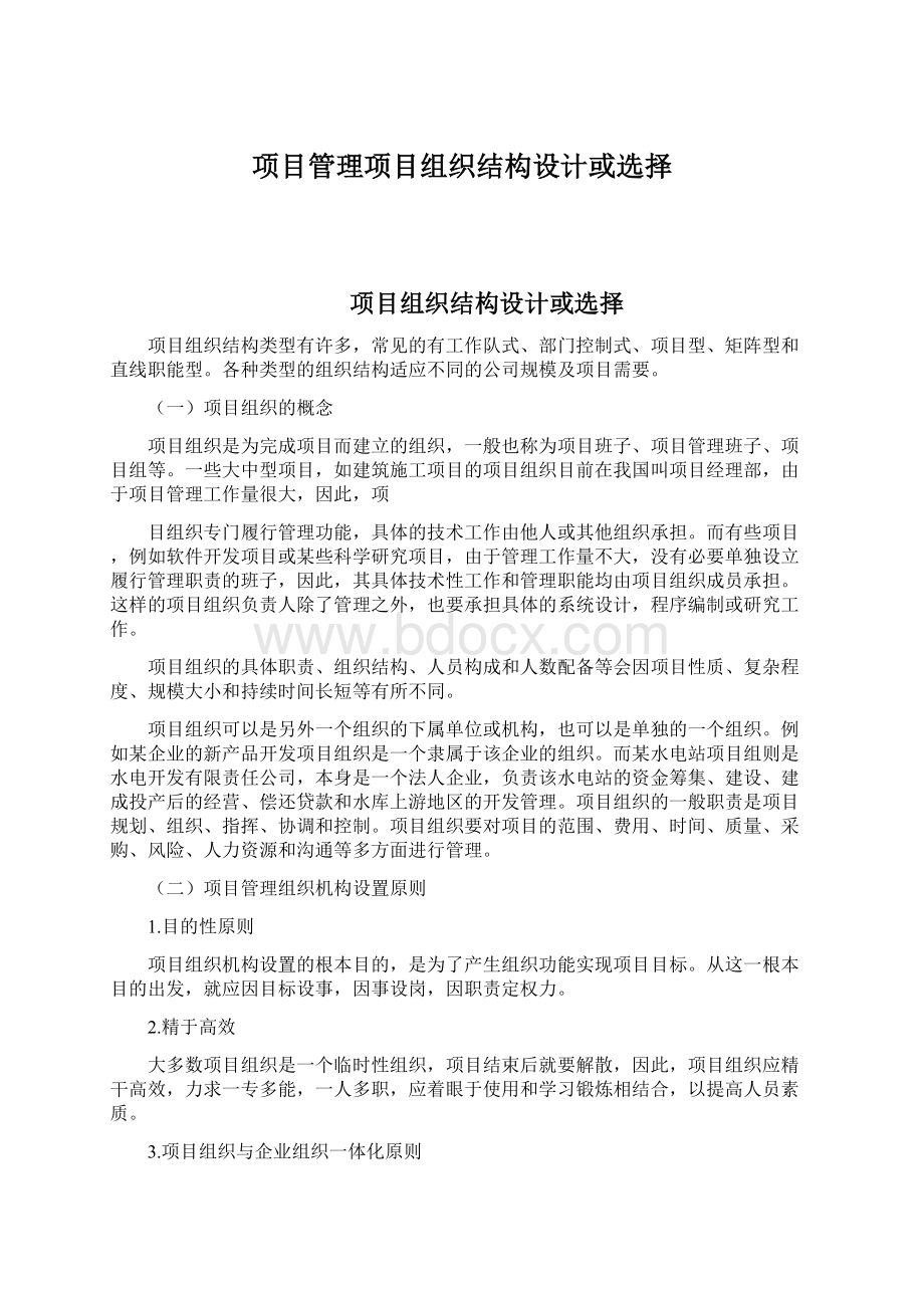 项目管理项目组织结构设计或选择文档格式.docx