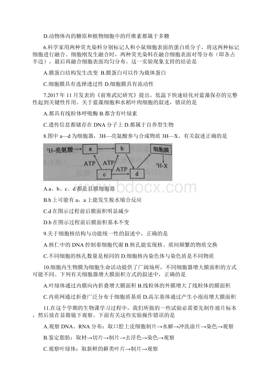 河南省豫北地区重点中学学年高一联考生.docx_第2页