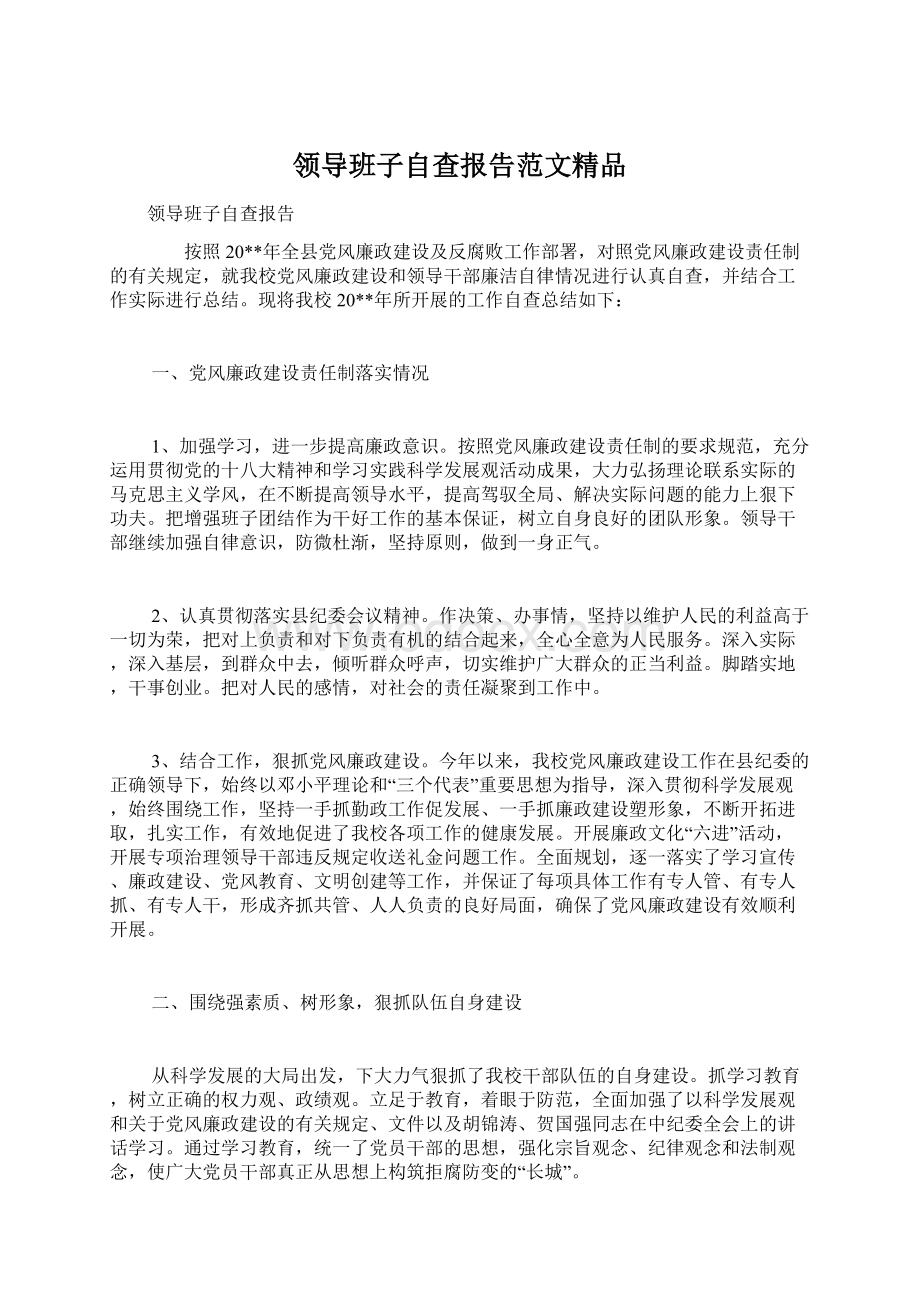 领导班子自查报告范文精品文档格式.docx_第1页