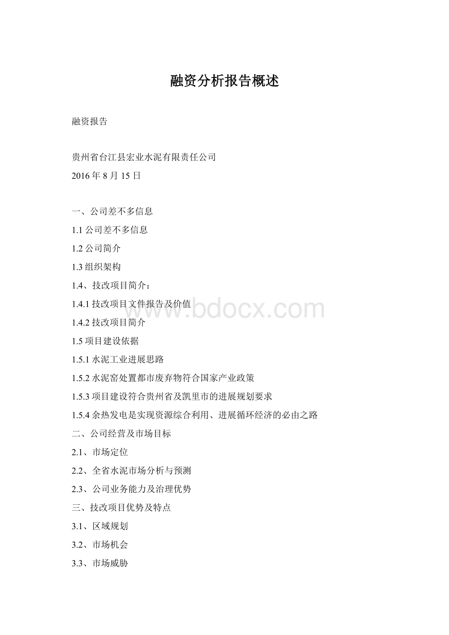 融资分析报告概述Word文档格式.docx