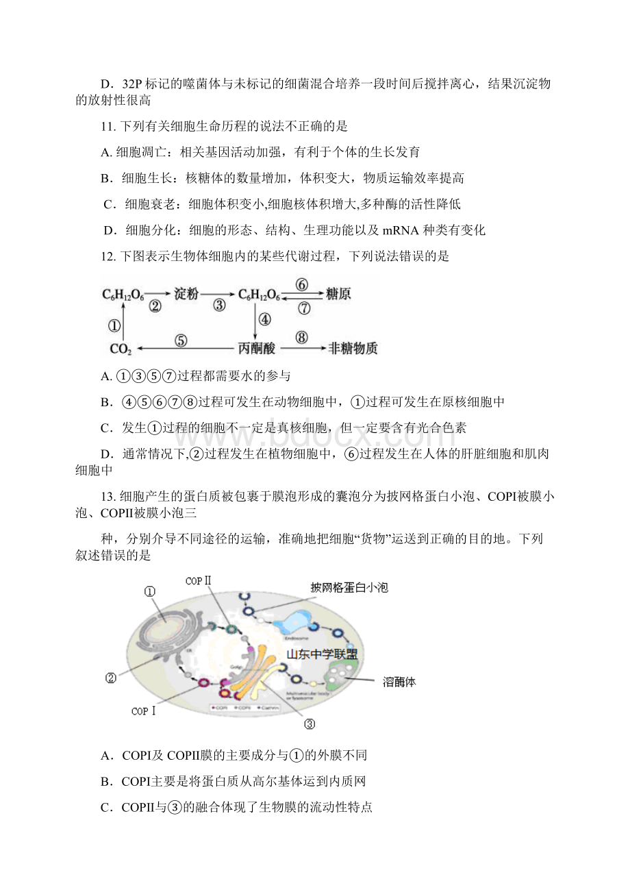 高三质量检测试题生物.docx_第3页