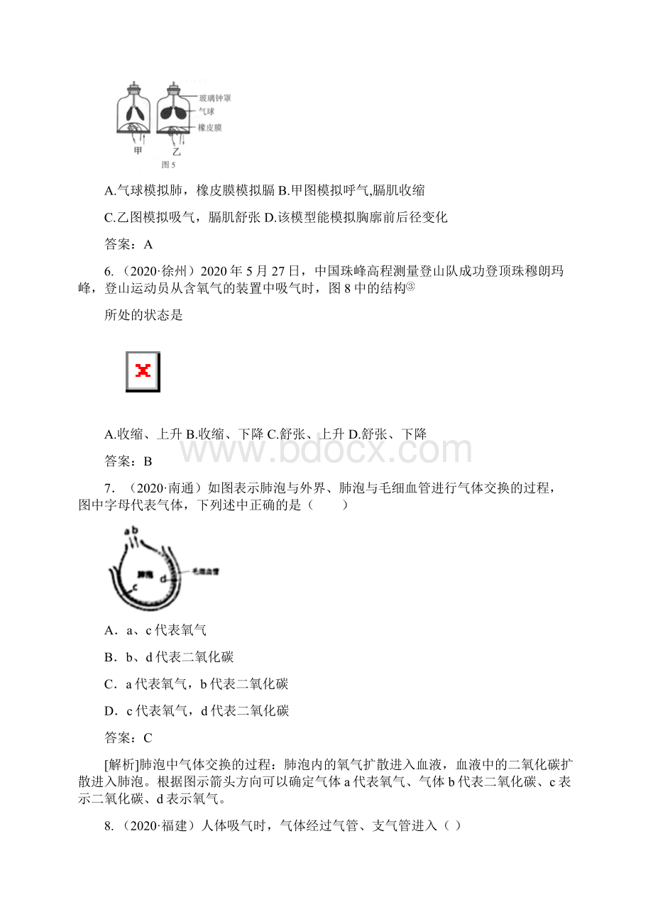 中考生物试题分类人体的呼吸.docx_第3页