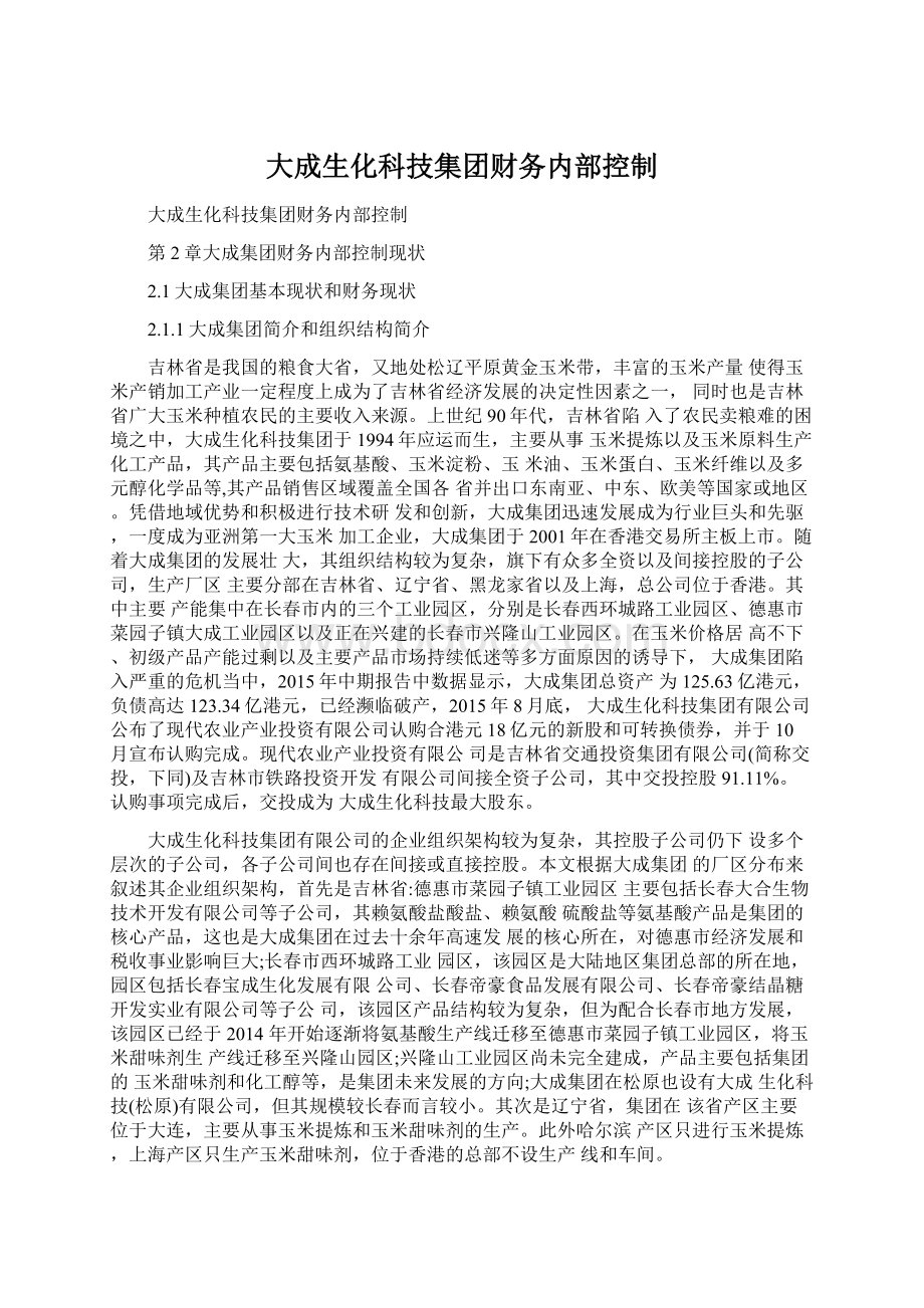 大成生化科技集团财务内部控制.docx