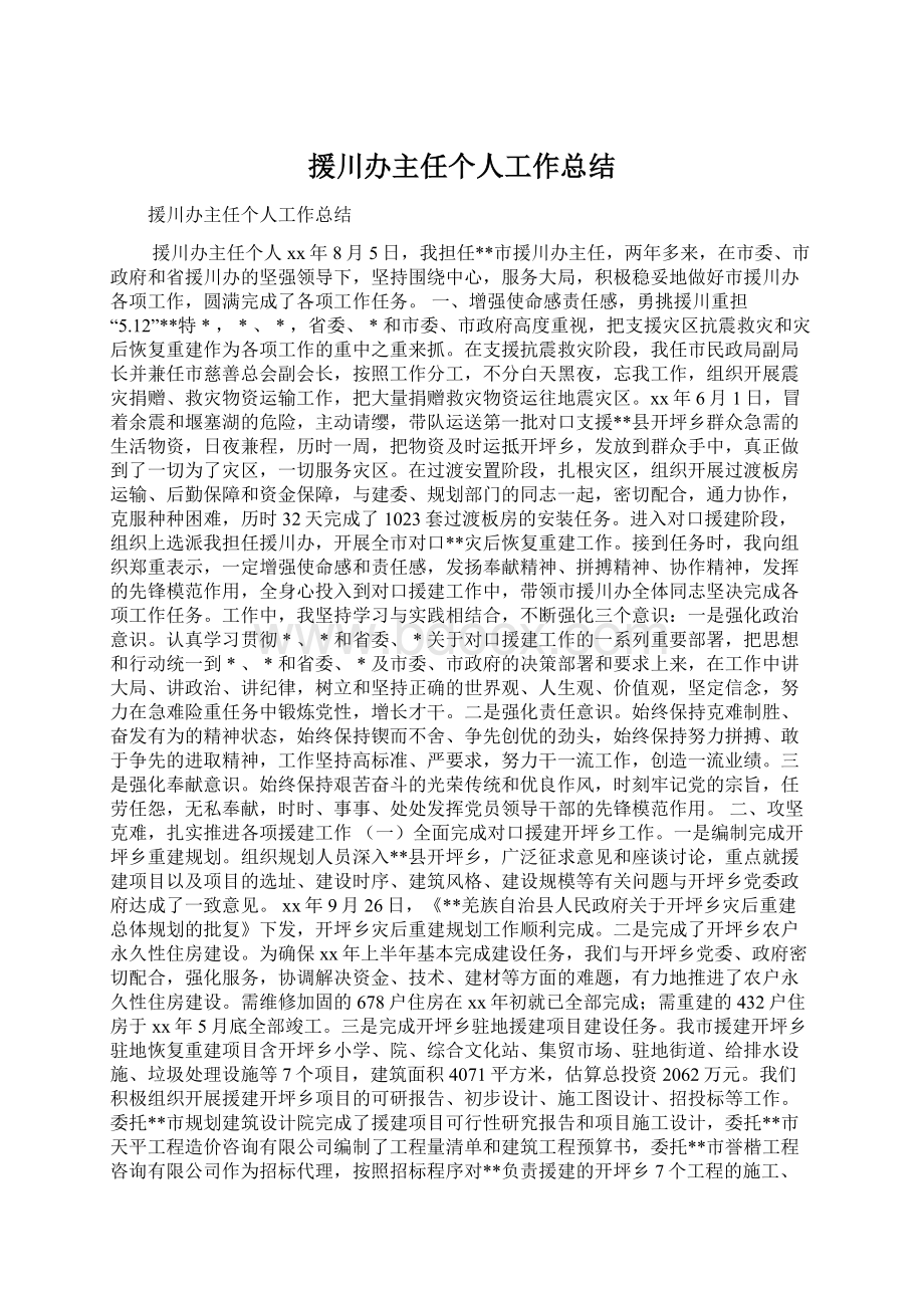 援川办主任个人工作总结Word文档格式.docx