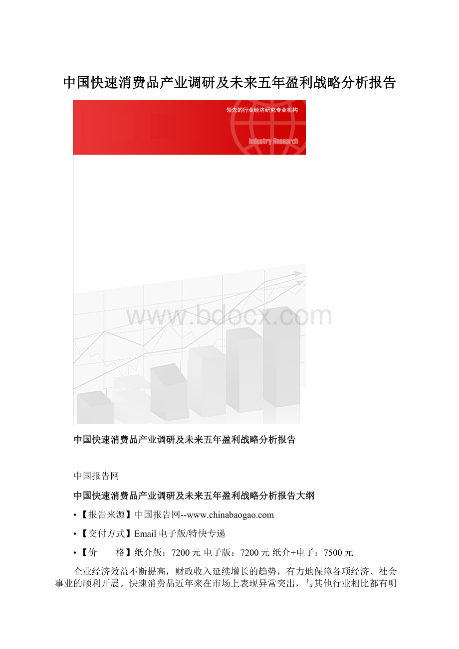 中国快速消费品产业调研及未来五年盈利战略分析报告文档格式.docx