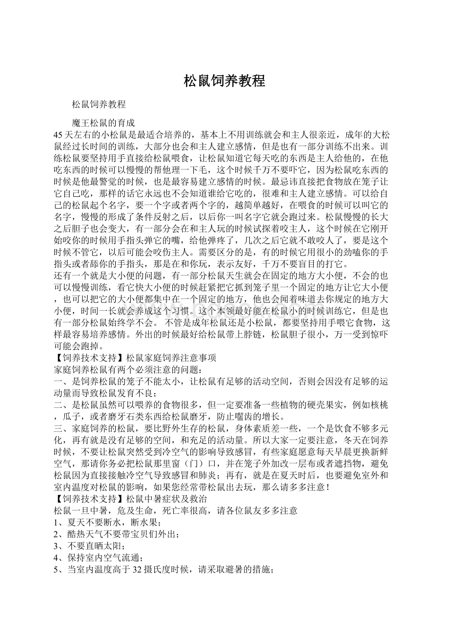 松鼠饲养教程Word文件下载.docx_第1页