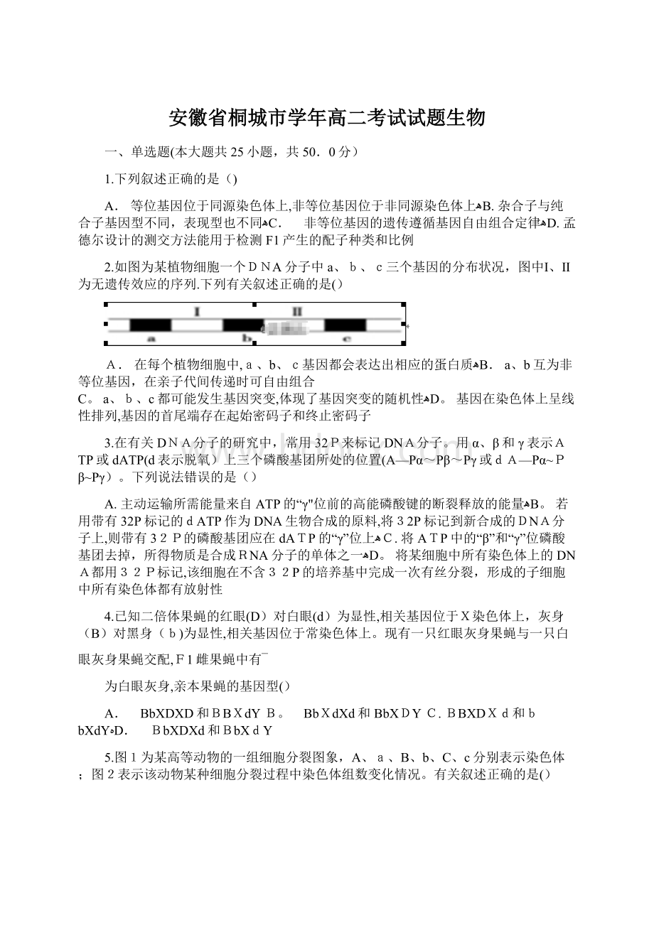 安徽省桐城市学年高二考试试题生物Word文件下载.docx_第1页