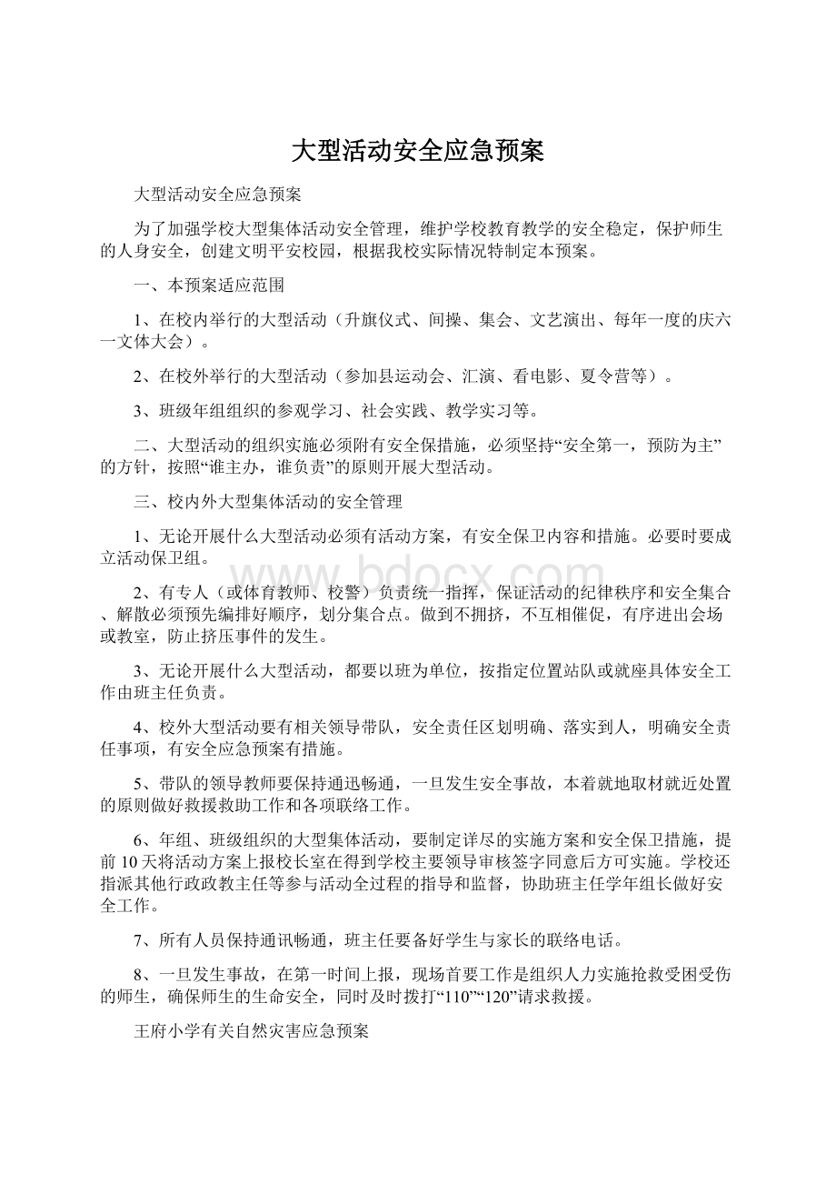 大型活动安全应急预案.docx_第1页