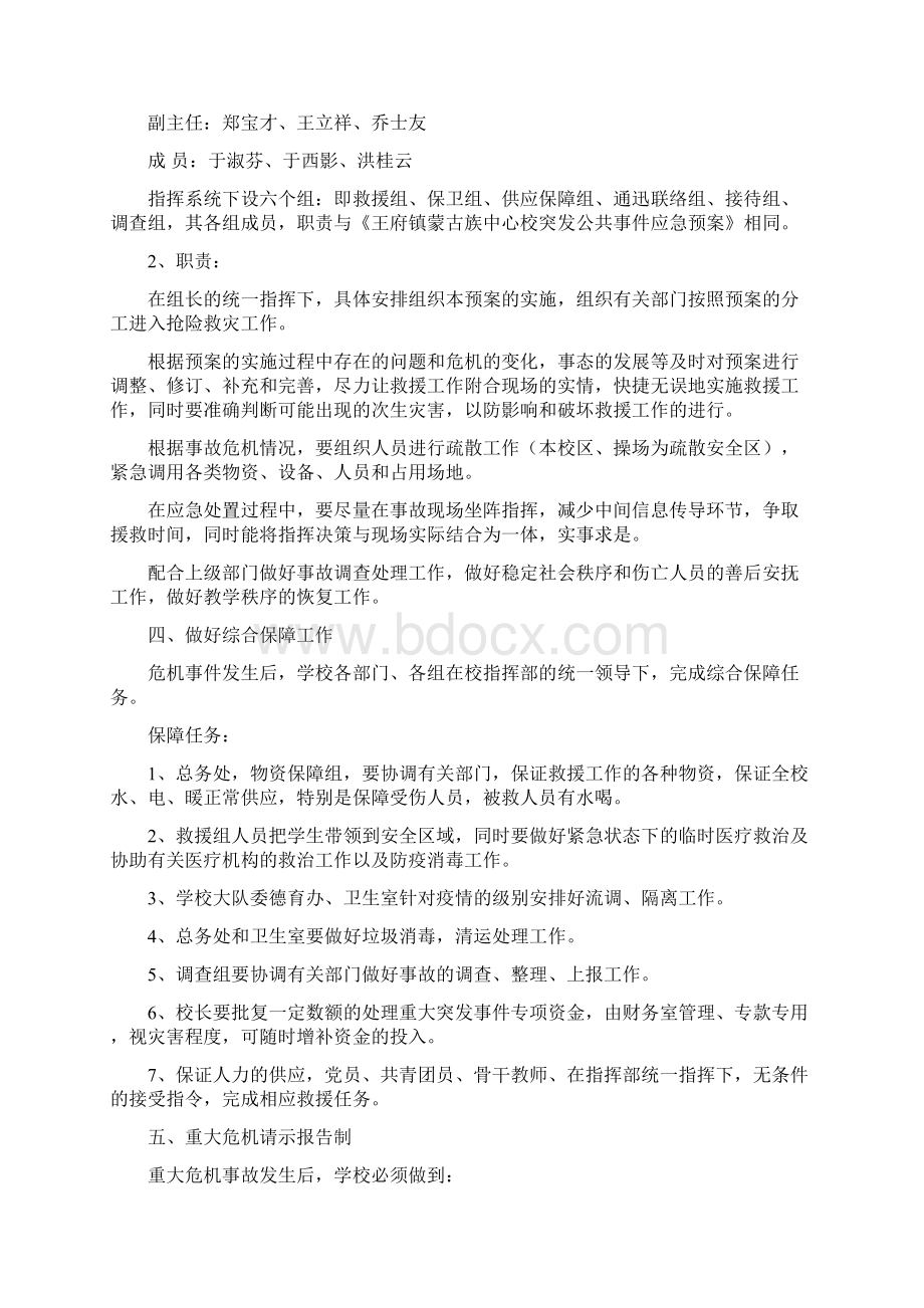 大型活动安全应急预案.docx_第3页