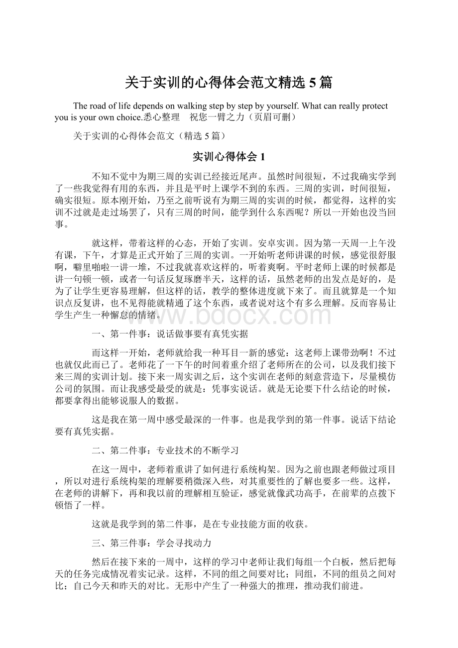 关于实训的心得体会范文精选5篇.docx