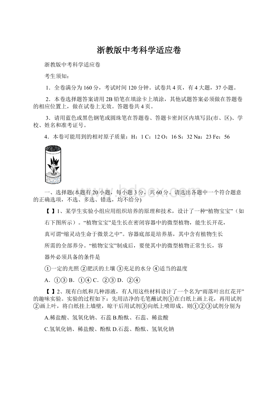 浙教版中考科学适应卷.docx_第1页