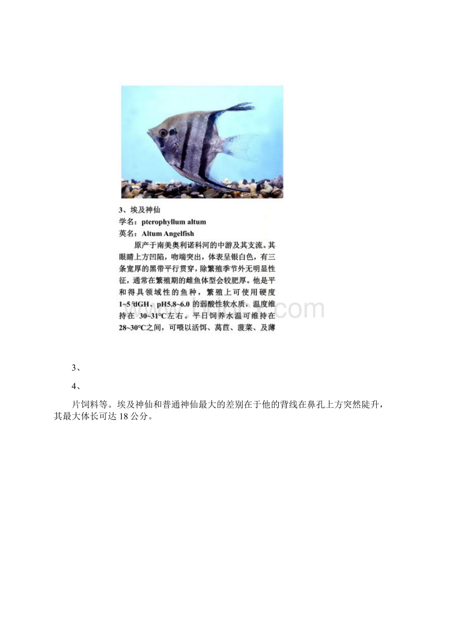 燕鱼品种分类私人整理.docx_第2页