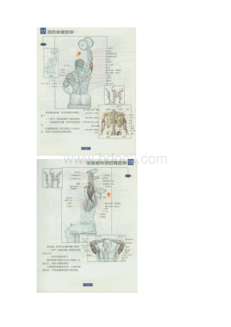 常用哑铃健身图解.docx_第3页