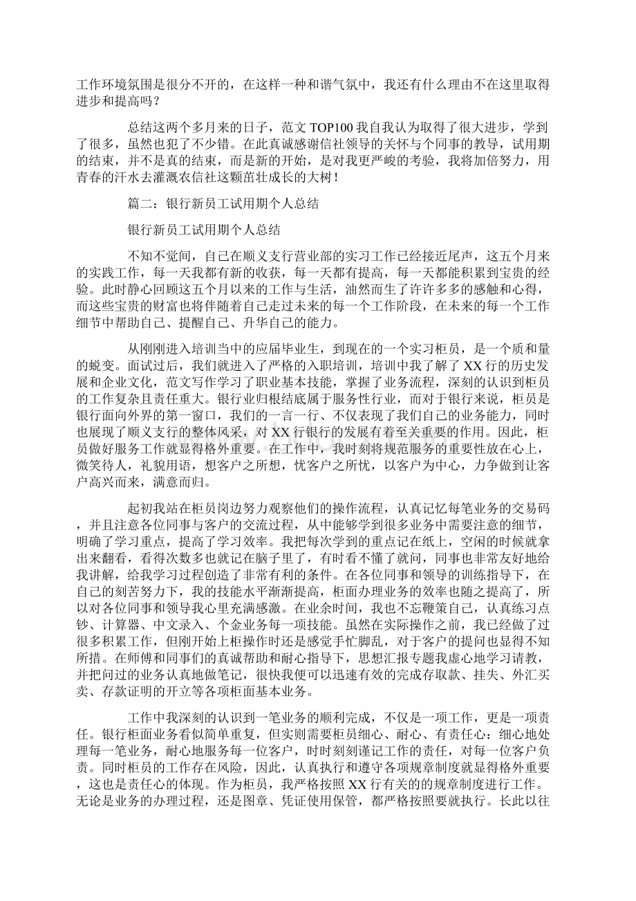 银行试用期个人总结Word下载.docx_第2页