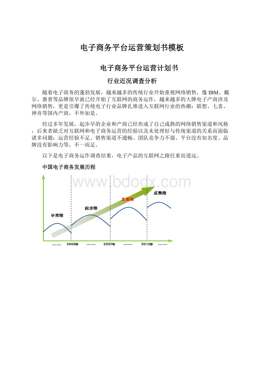 电子商务平台运营策划书模板Word下载.docx_第1页