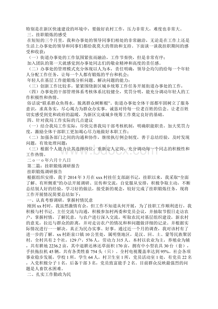 挂职锻炼调研报告精选多篇 挂职锻炼调研报告.docx_第3页