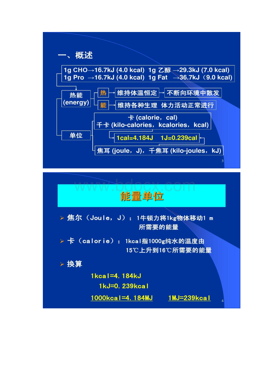 三大产能营养素 能量1006要点Word格式文档下载.docx_第2页