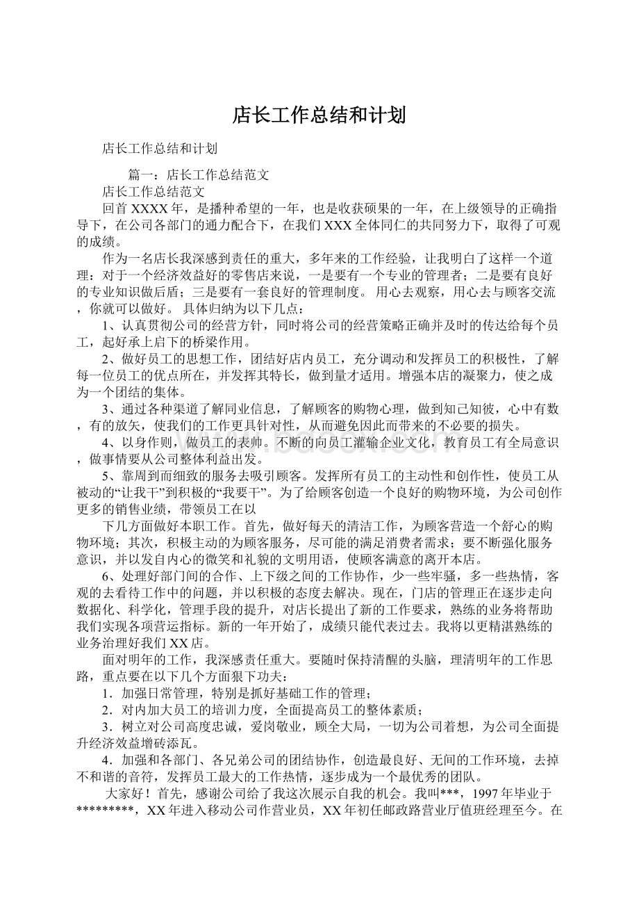 店长工作总结和计划.docx