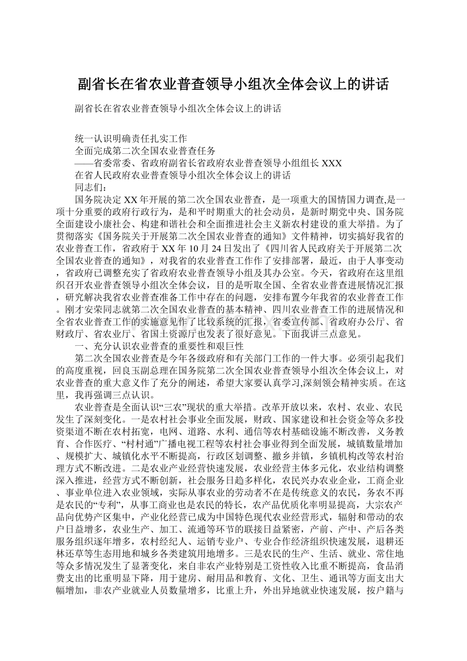 副省长在省农业普查领导小组次全体会议上的讲话Word格式.docx