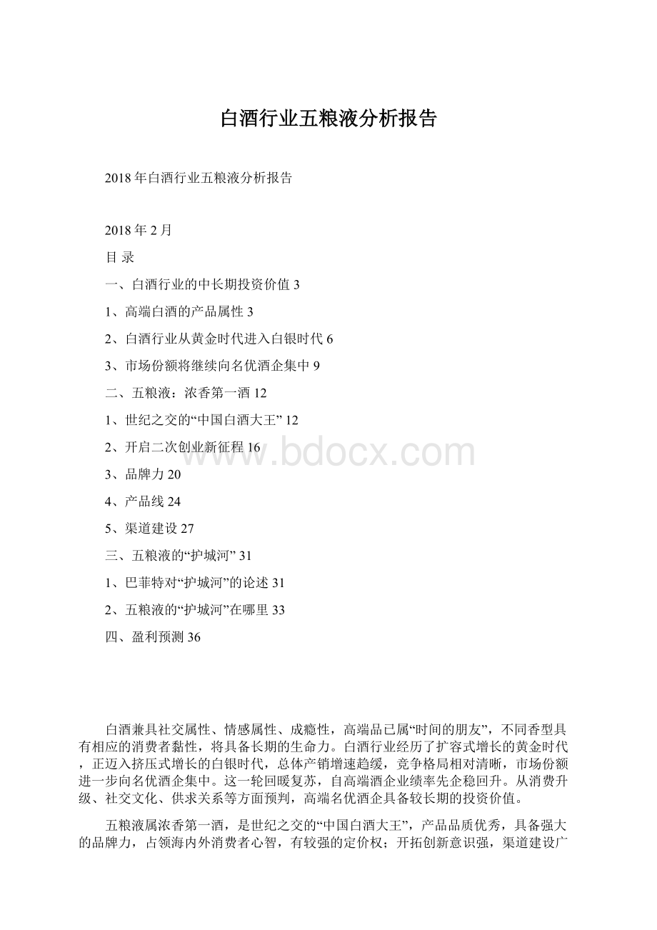 白酒行业五粮液分析报告Word格式.docx