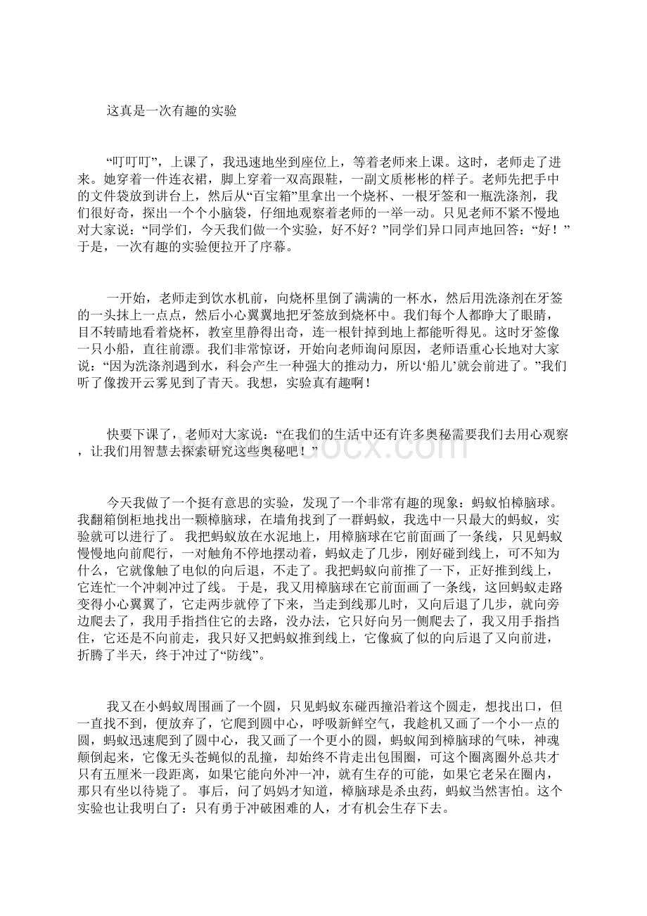 苏教版六年级上册习作四范文苏教版六年级上册习作四作文.docx_第3页