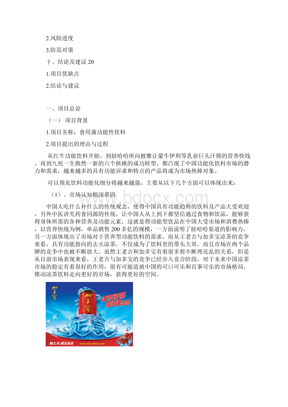 食用菌功能性饮料生产项目可行性研究报告完美版Word格式文档下载.docx_第2页