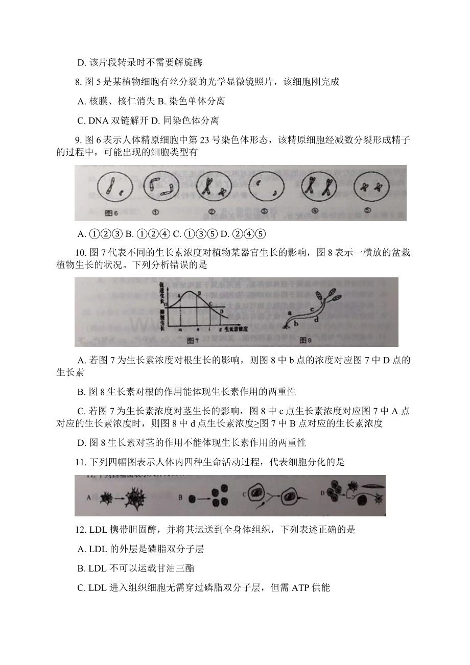 精品奉贤区高二高三第一学期期末一模学科质量检测生物试题及答案文档格式.docx_第3页