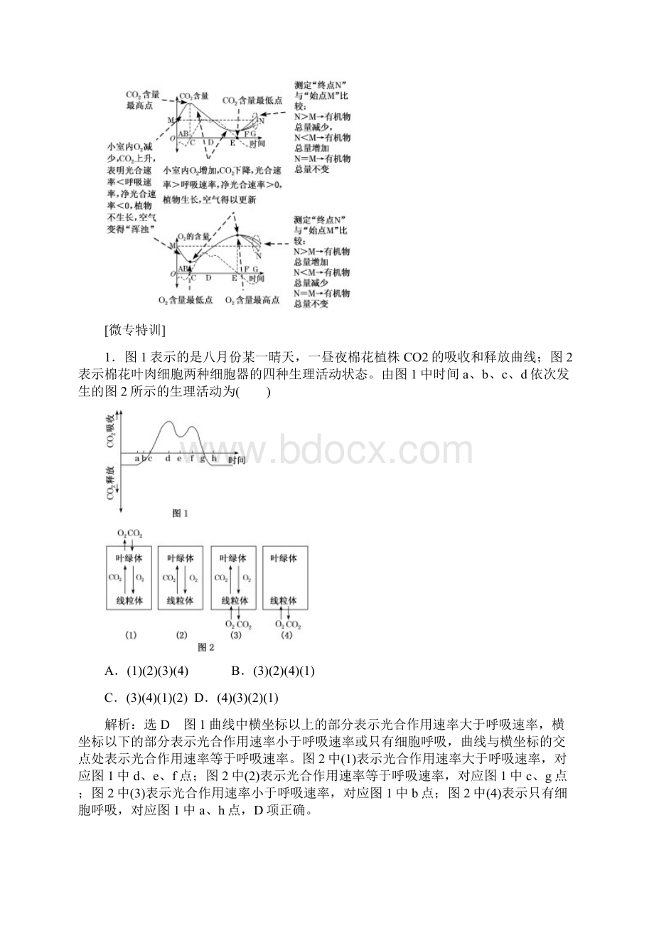 新高考 一轮复习 苏教版微专题二 开放和密闭环境中CO2O2含量昼夜变化状况分析 教案.docx_第3页