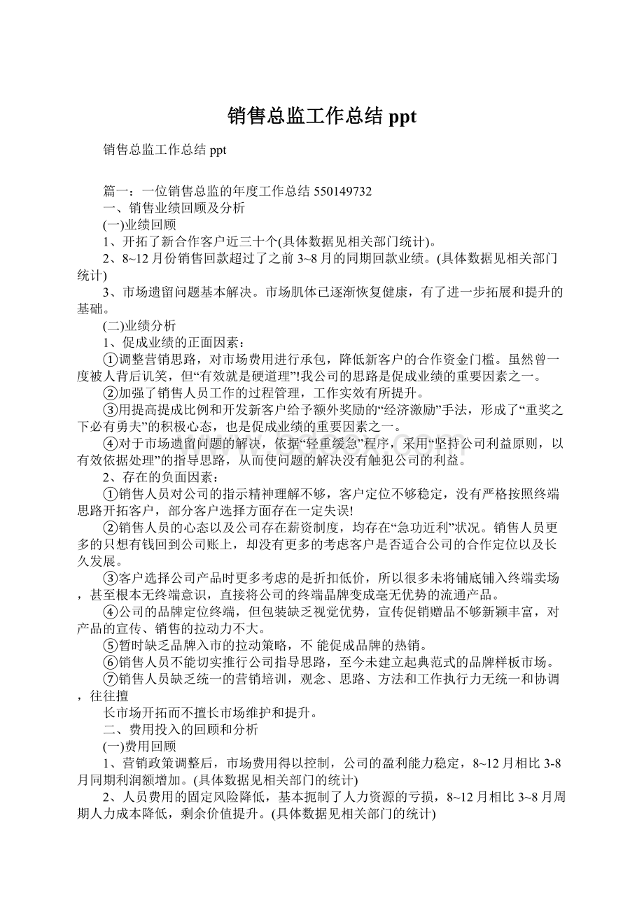 销售总监工作总结ppt.docx_第1页