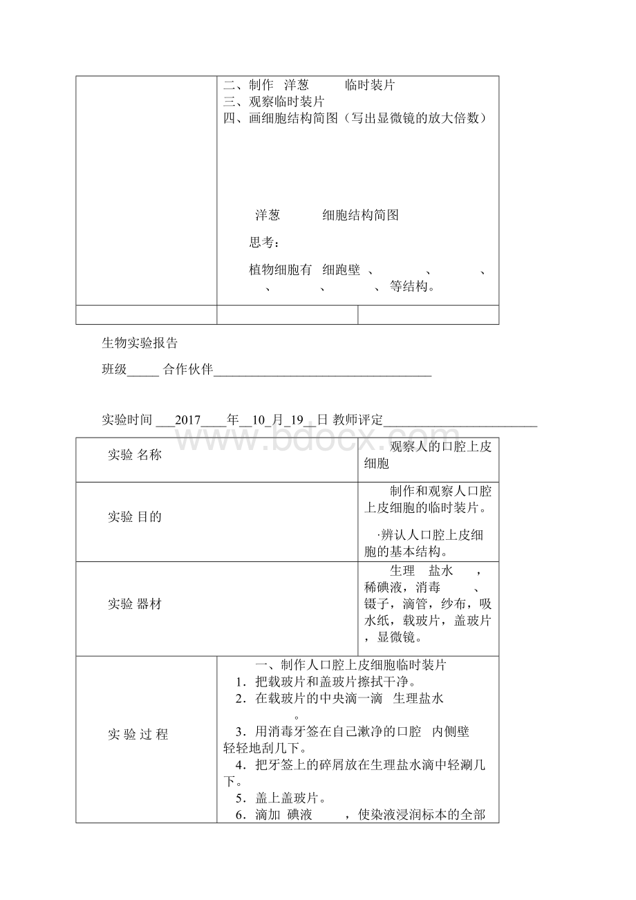 七年级生物实验报告.docx_第3页