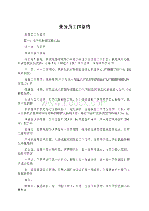 业务员工作总结Word格式.docx